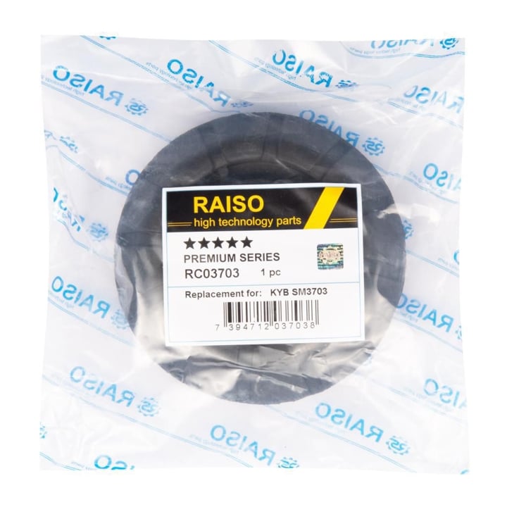 Купити RAISO RC03703 – суперціна на EXIST.UA!