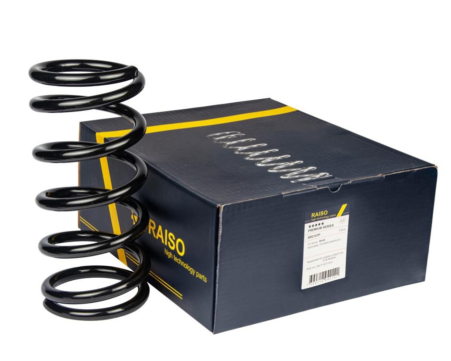 Купити RAISO SR214TP за низькою ціною в Україні!