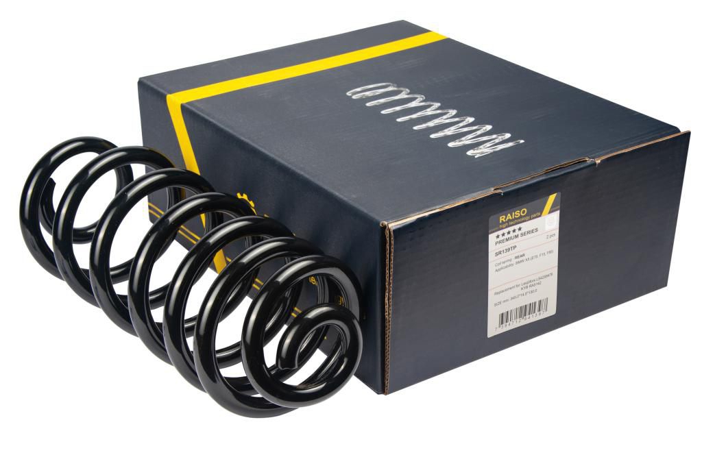 Купити RAISO SR139TP за низькою ціною в Україні!
