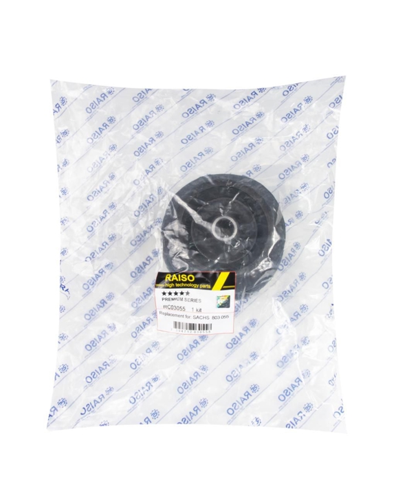 Купить RAISO RC03055 по низкой цене в Украине!