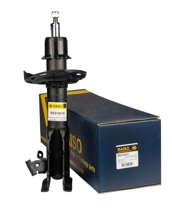 Купити RAISO RS314619 за низькою ціною в Україні!