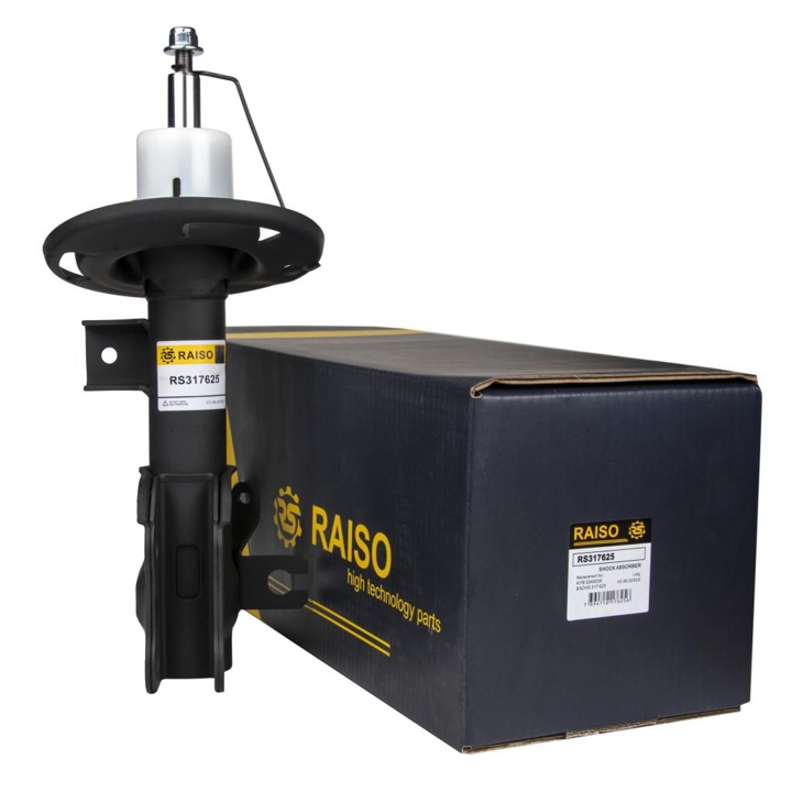 Купити RAISO RS317625 за низькою ціною в Україні!