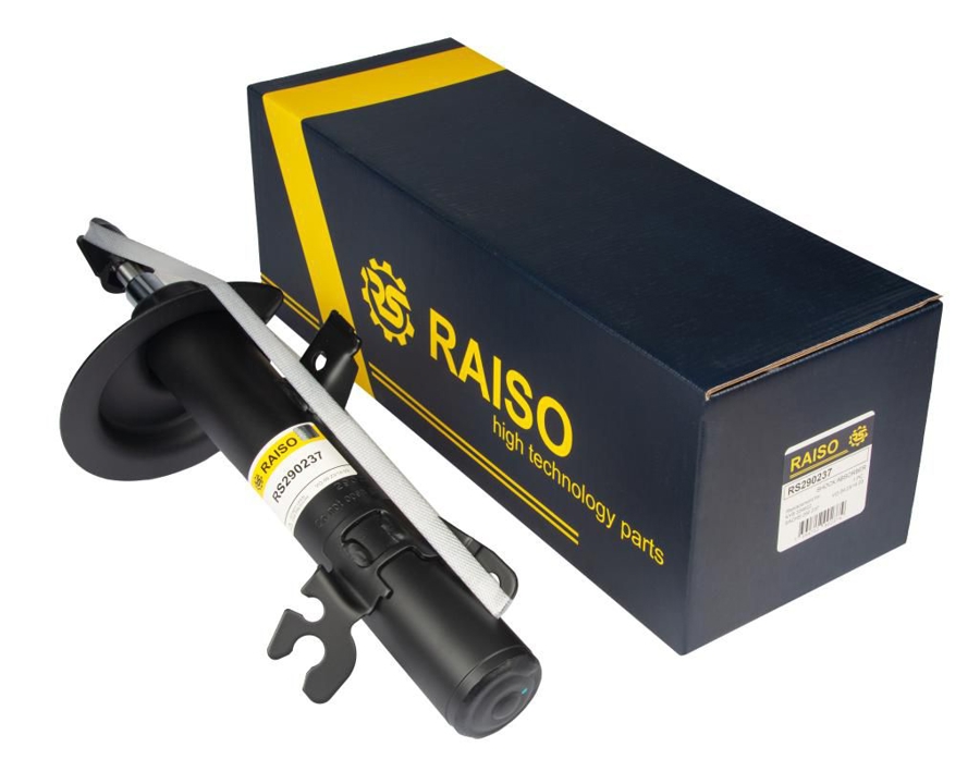 Купить RAISO RS290237 по низкой цене в Украине!
