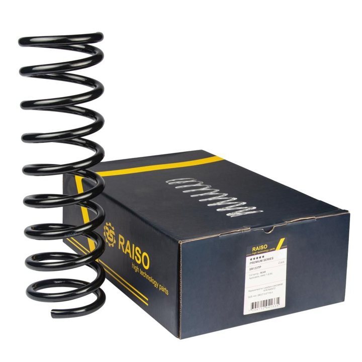 Купити RAISO SR133TP за низькою ціною в Україні!