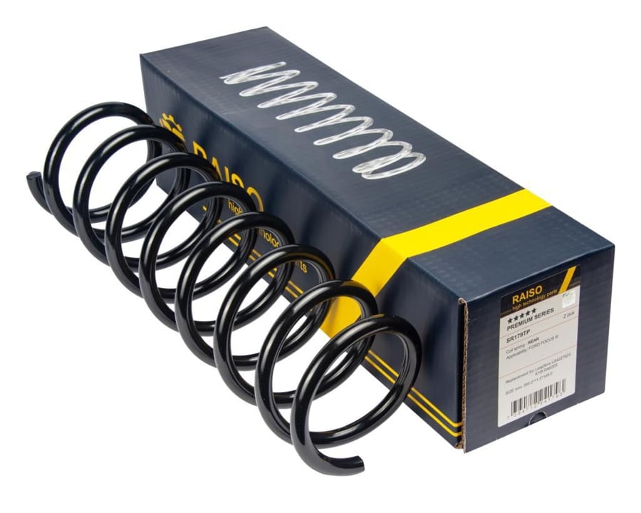 Купить RAISO SR179TP по низкой цене в Украине!
