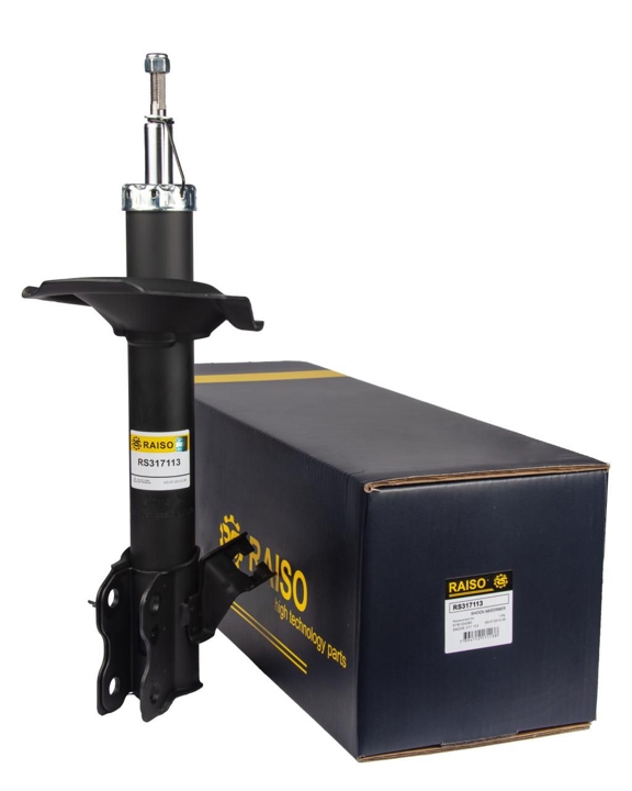 Купити RAISO RS317113 за низькою ціною в Україні!