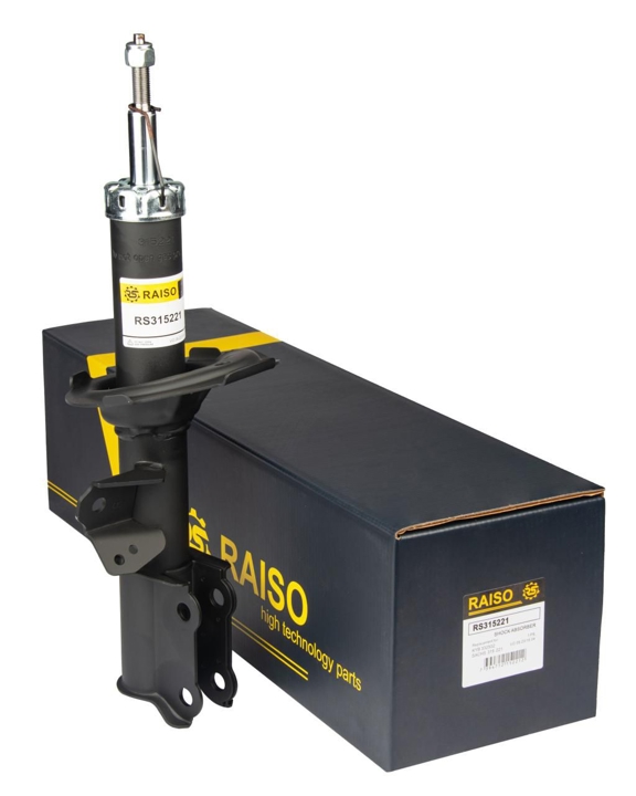Купити RAISO RS315221 за низькою ціною в Україні!