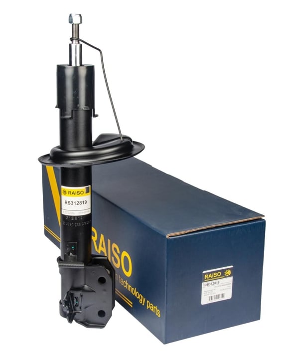 Купить RAISO RS312819 по низкой цене в Украине!