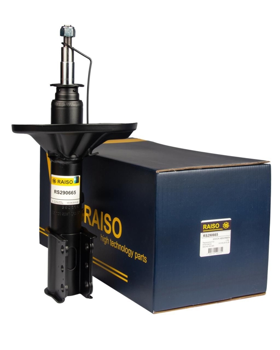 Купити RAISO RS290665 за низькою ціною в Україні!