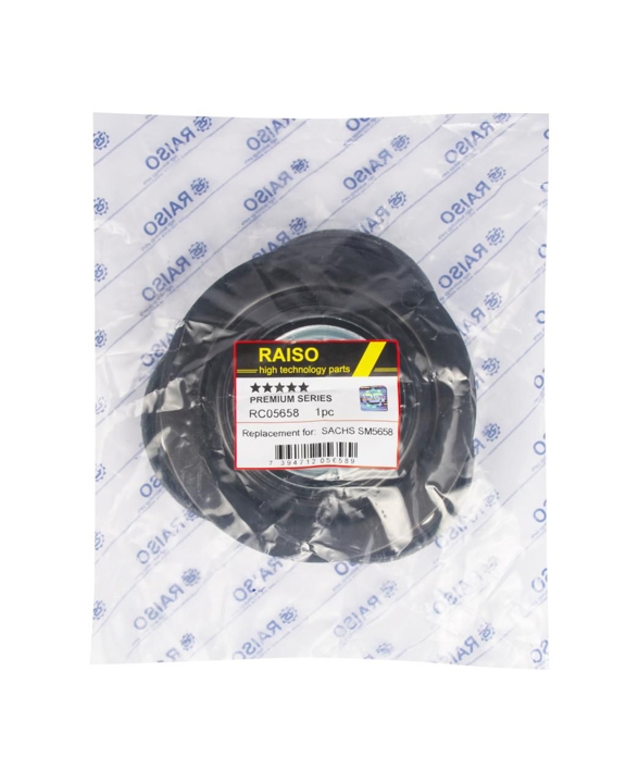 Купити RAISO RC05658 за низькою ціною в Україні!