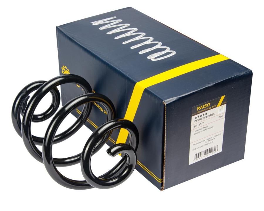 Купити RAISO SR165TP за низькою ціною в Україні!