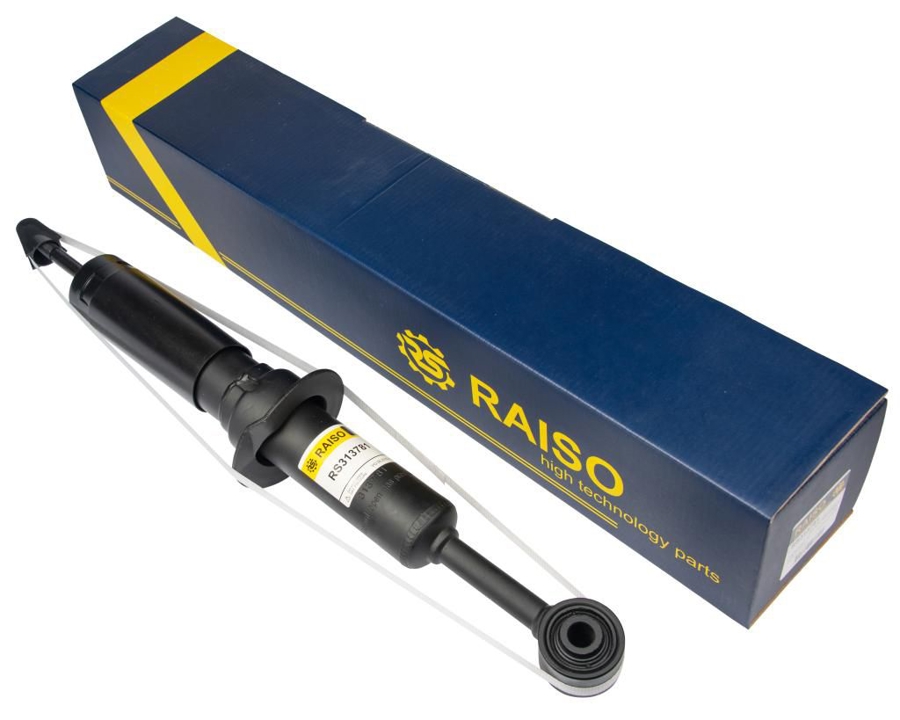 Купити RAISO RS313781 за низькою ціною в Україні!