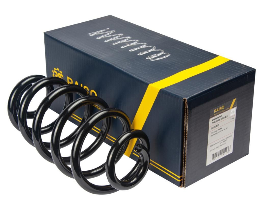 Купити RAISO SR123TP за низькою ціною в Україні!