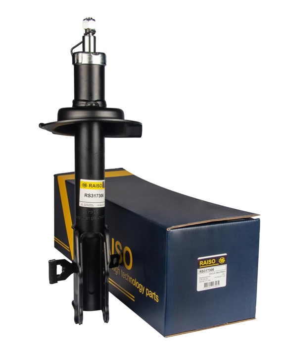 Купити RAISO RS317306 за низькою ціною в Україні!