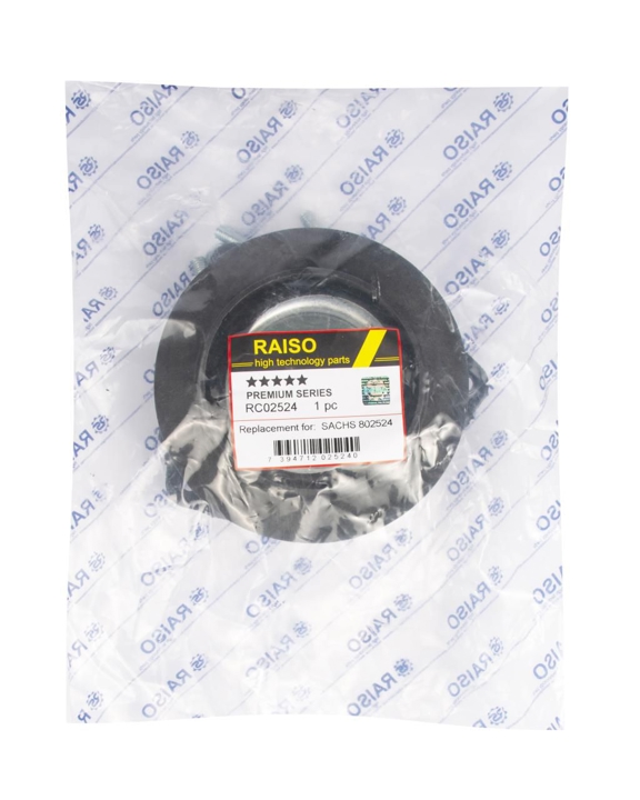Купить RAISO RC02524 по низкой цене в Украине!