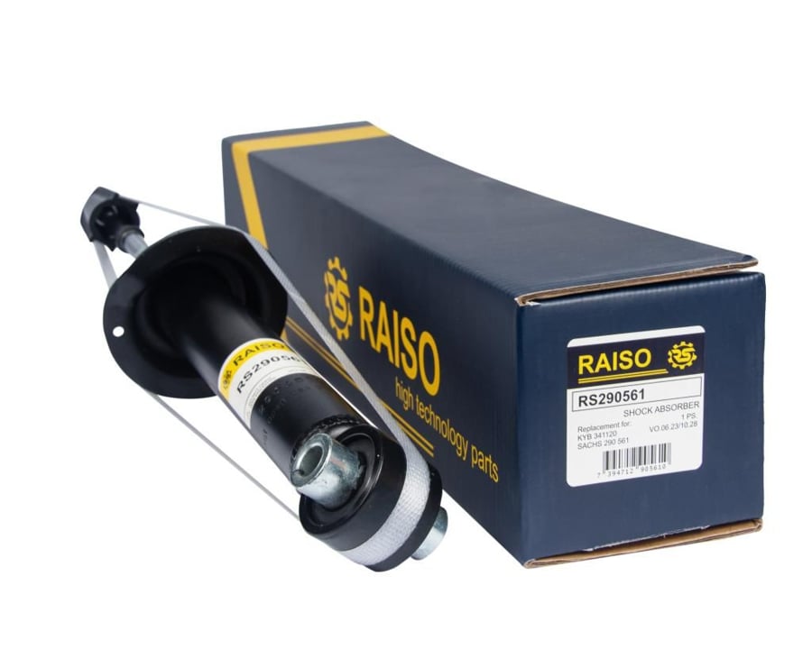 Купити RAISO RS290561 за низькою ціною в Україні!
