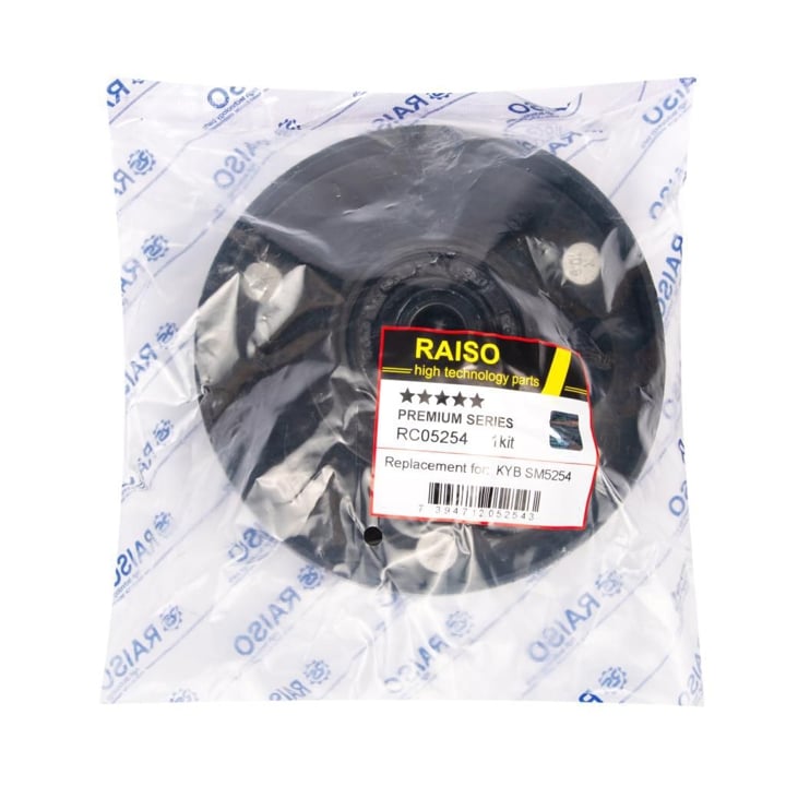 Купить RAISO RC05254 по низкой цене в Украине!