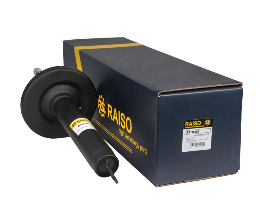 Купити RAISO RS115481 за низькою ціною в Україні!