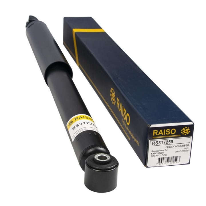Купити RAISO RS317259 за низькою ціною в Україні!