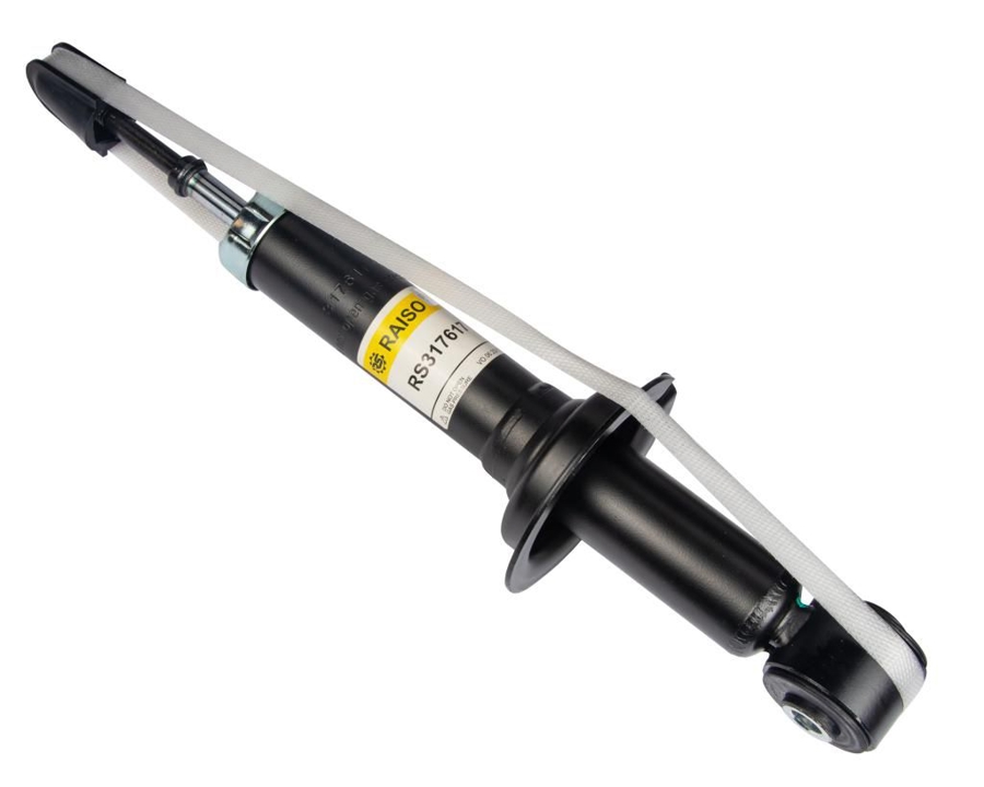 Купити RAISO RS317617 за низькою ціною в Україні!