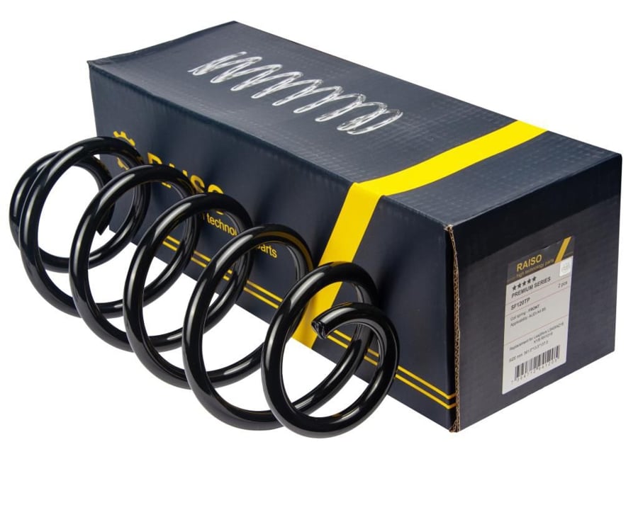 Купить RAISO SF120TP по низкой цене в Украине!