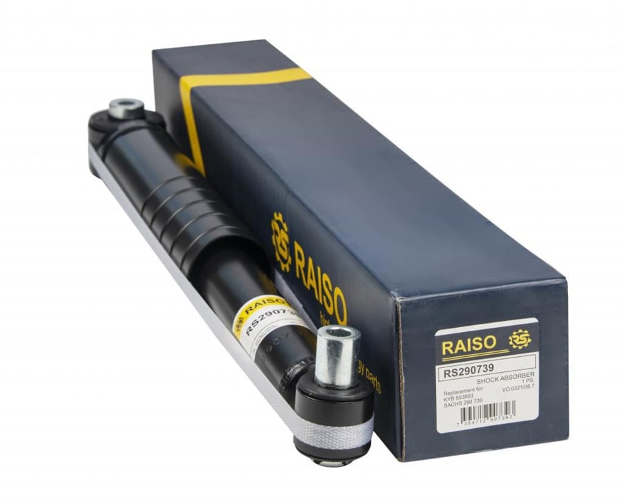 Купити RAISO RS290739 за низькою ціною в Україні!