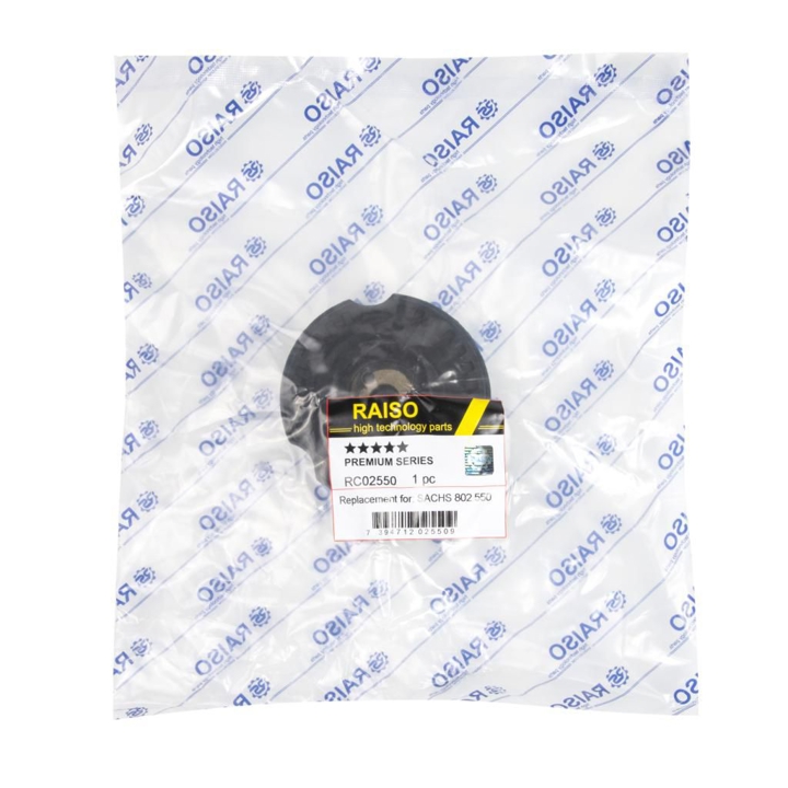 Купити RAISO RC02550 за низькою ціною в Україні!