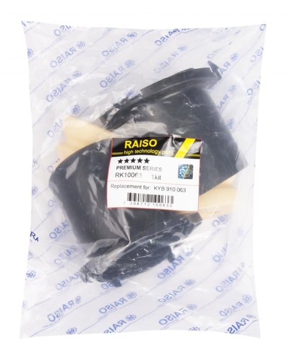 Купити RAISO RK10063 за низькою ціною в Україні!