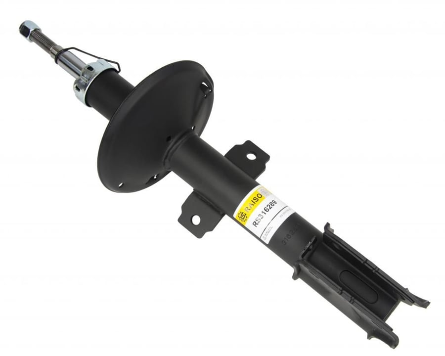 RS316289 RAISO Амортизатор підвіски передній газомасляний