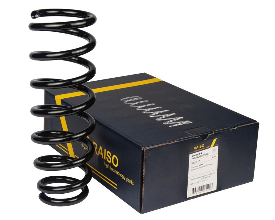 Купити RAISO SR215TP за низькою ціною в Україні!