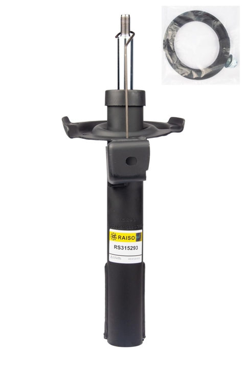 Купити RAISO RS315293 за низькою ціною в Україні!