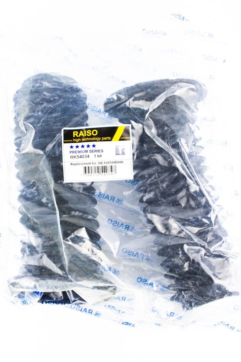 Купити RAISO RK54034 за низькою ціною в Україні!