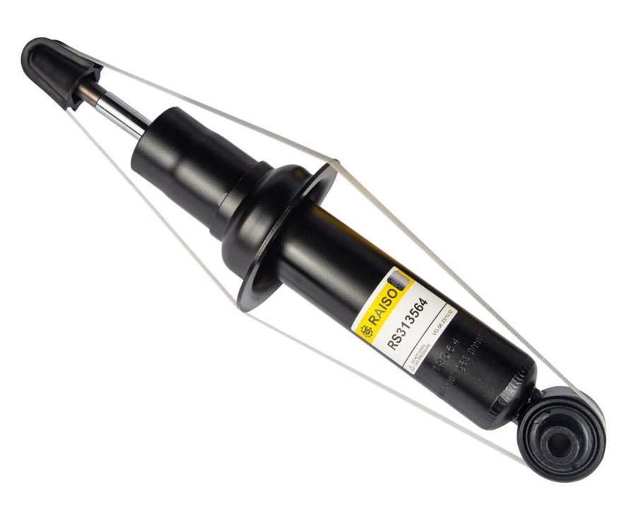 Купити RAISO RS313564 за низькою ціною в Україні!