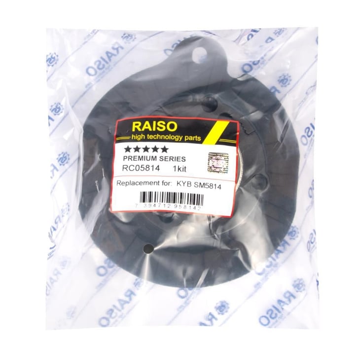 Купити RAISO RC05814 за низькою ціною в Україні!