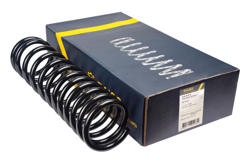 Купити RAISO SR176TP за низькою ціною в Україні!