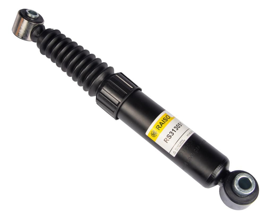Купити RAISO RS313051 за низькою ціною в Україні!