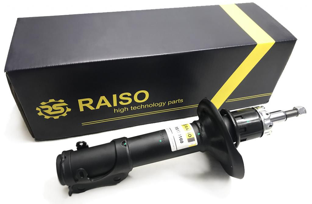 Купити RAISO RS170160 за низькою ціною в Україні!