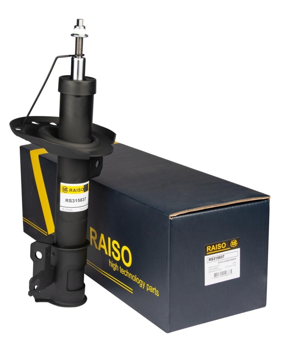 Купити RAISO RS315837 за низькою ціною в Україні!