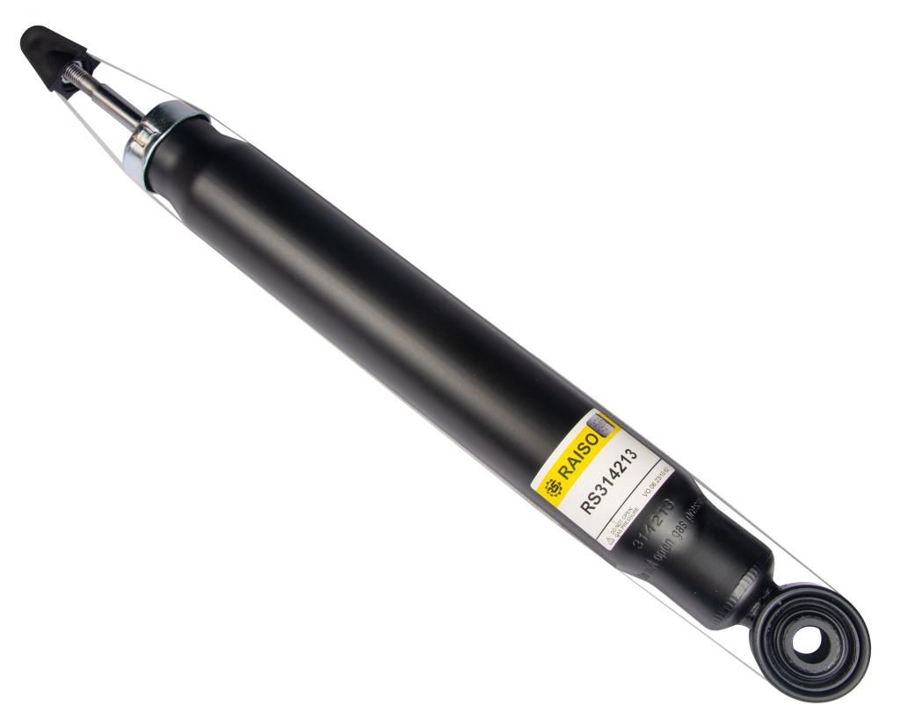 Купити RAISO RS314213 за низькою ціною в Україні!