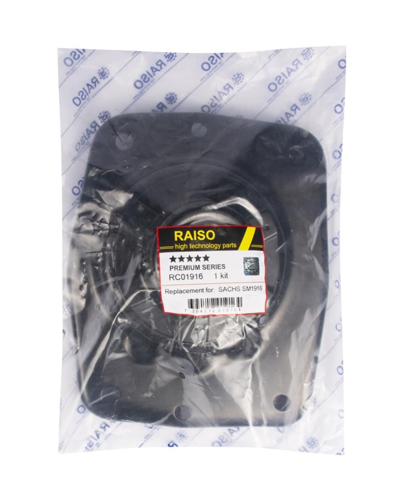 Купить RAISO RC01916 по низкой цене в Украине!