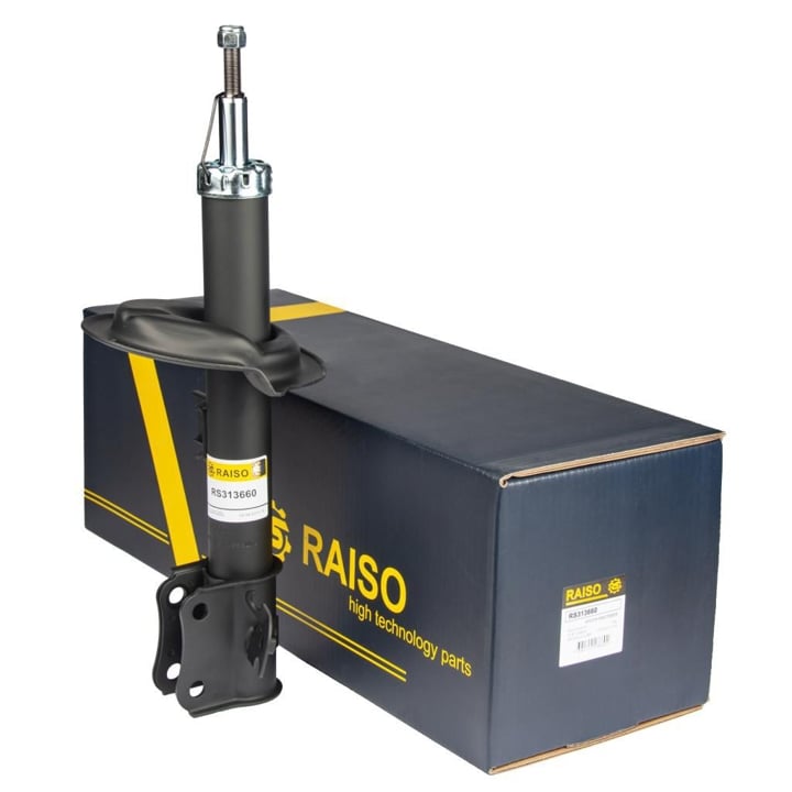 Купить RAISO RS313660 – отличная цена на EXIST.UA!