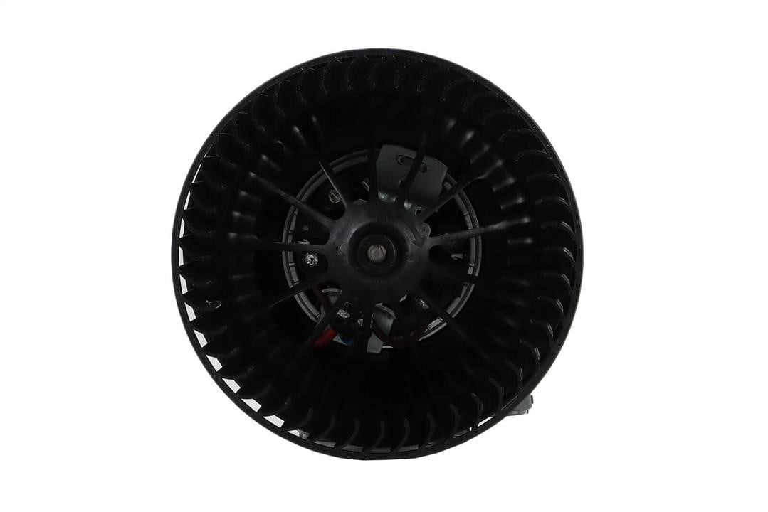 WBL01454 Walker Вентилятор пічки