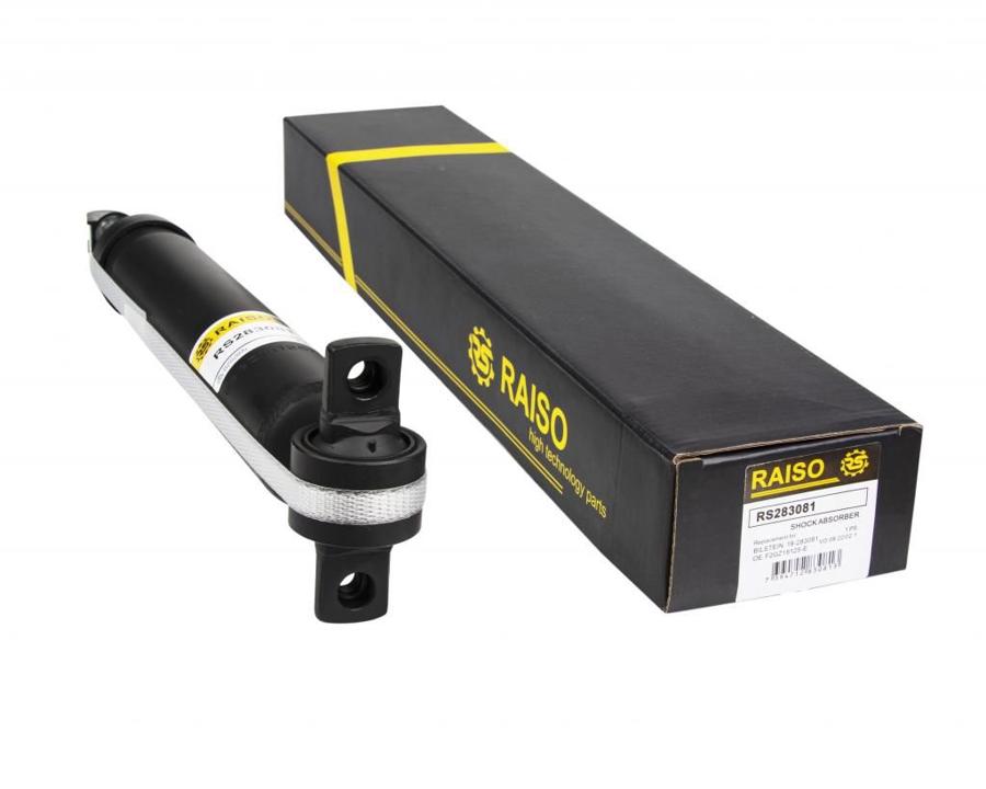 Купити RAISO RS283081 за низькою ціною в Україні!