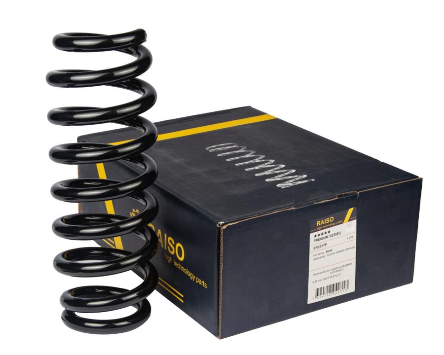 Купити RAISO SR231TP за низькою ціною в Україні!