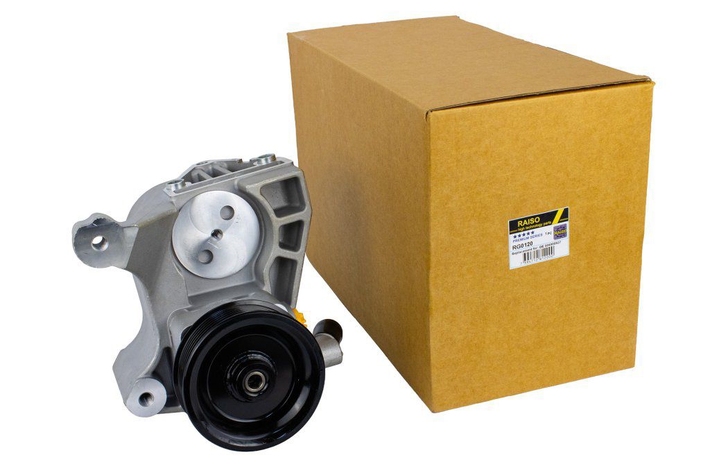 Купить RAISO RG0120 по низкой цене в Украине!