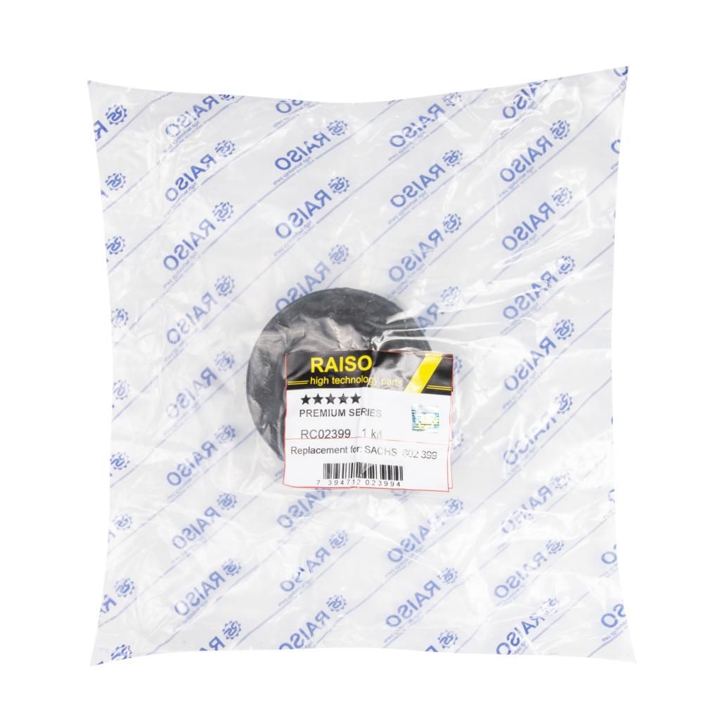 Купити RAISO RC02399 за низькою ціною в Україні!