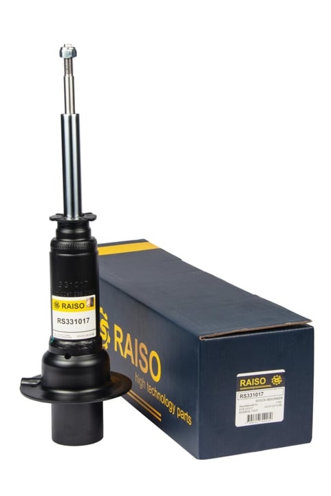Купити RAISO RS331017 за низькою ціною в Україні!