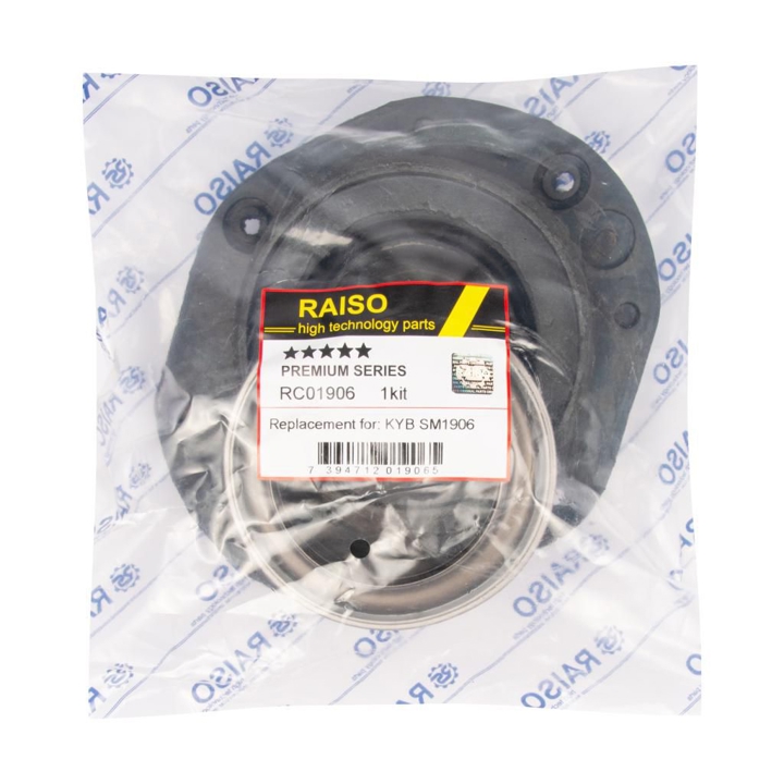Купити RAISO RC01906 за низькою ціною в Україні!