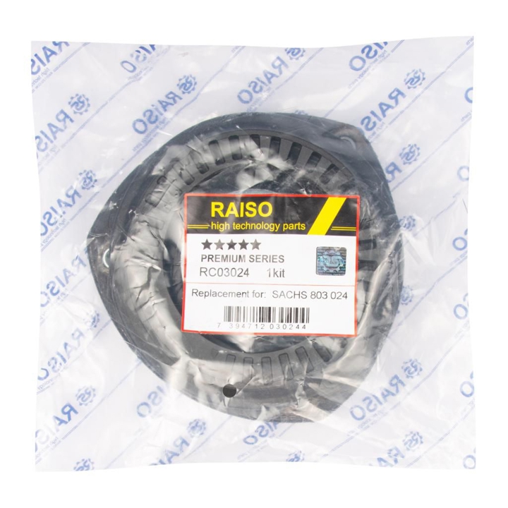 Купить RAISO RC03024 по низкой цене в Украине!
