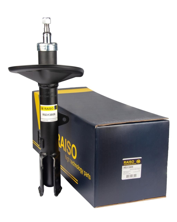 Купить RAISO RS313809 по низкой цене в Украине!